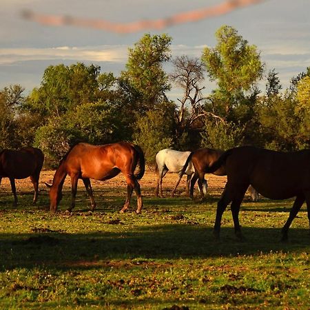 Вилла Beaconsfield Farm Hofmeyr Экстерьер фото