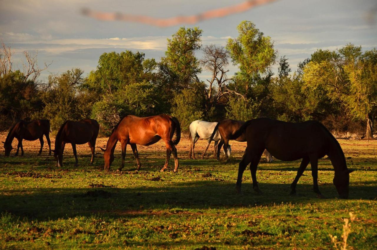 Вилла Beaconsfield Farm Hofmeyr Экстерьер фото