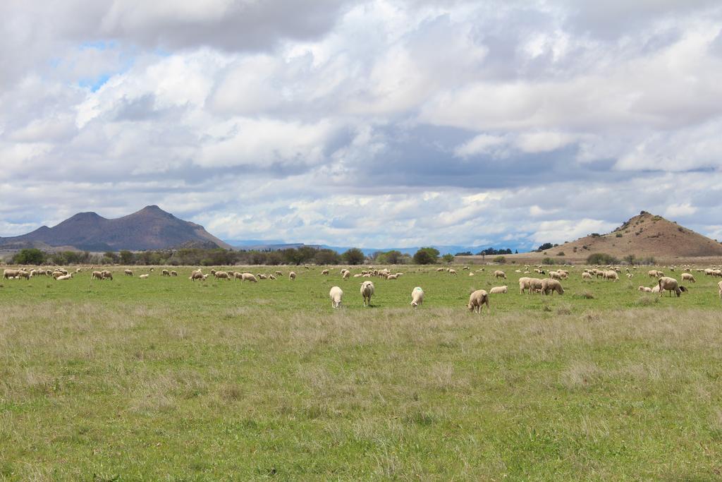 Вилла Beaconsfield Farm Hofmeyr Экстерьер фото